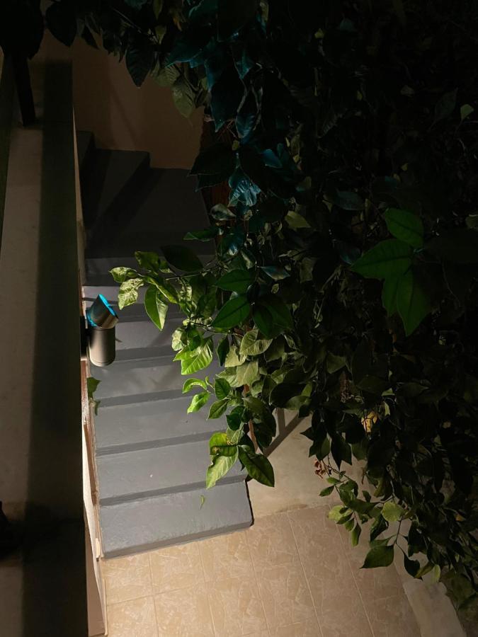 شقة Maria'S Haus In Artemida المظهر الخارجي الصورة